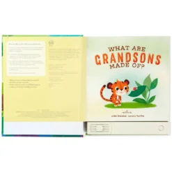 Hallmark What Are Grandsons Made Of? Recordable Storybook -Hallmark Toys Shop What Are Grandsons Made Of Recordable Storybook 1KOB1230 03